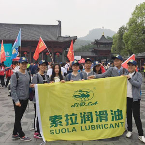 索拉參加“友善東莞”首屆“異地商會萬眾徒步公益行”